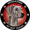 Best Friends Magnets Sporting Dogs