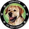 Best Friends Magnets Sporting Dogs