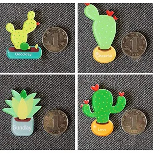 BIG BOOM® Tus Kitchen Magnets Fun Magnets Decorative Magnets Cute Magnets (Succulent) Y8K6