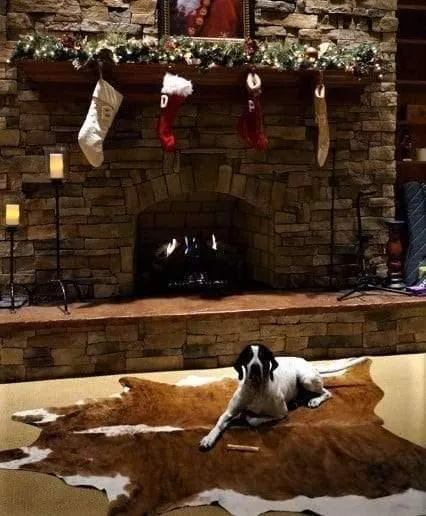 Brazilian Hereford Cowhide Rug