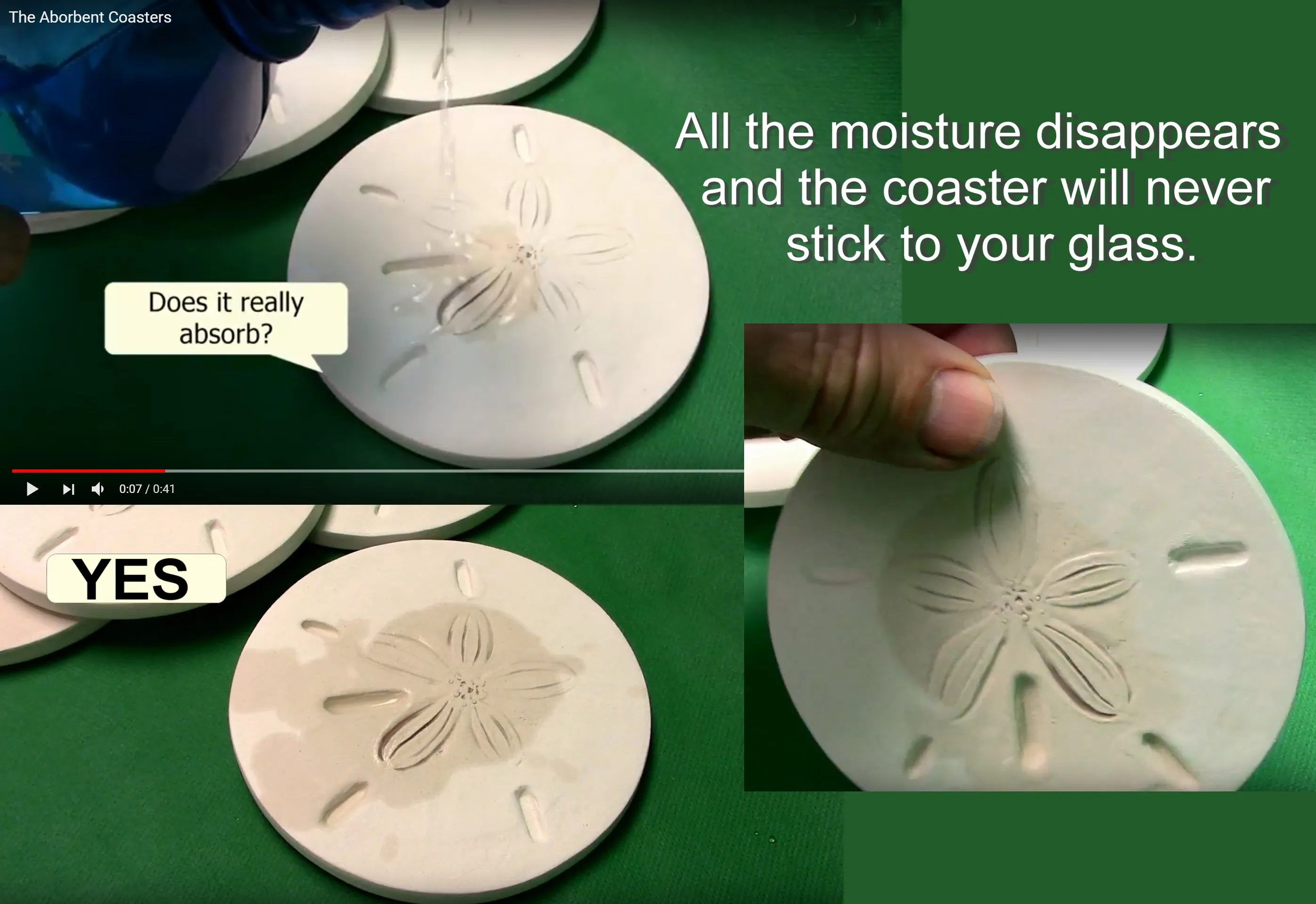 Conch Shell Drink Coasters