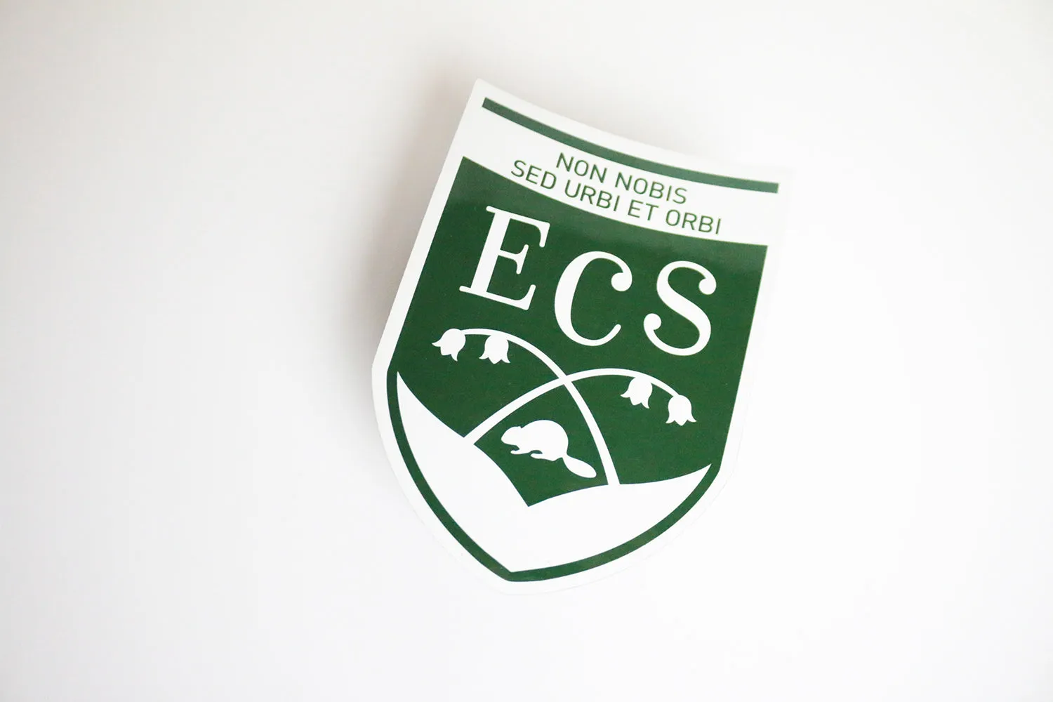 ECS Magnet