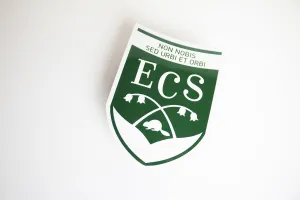 ECS Magnet
