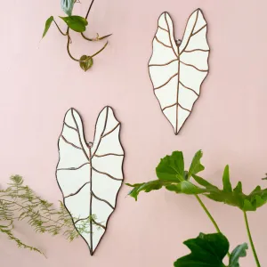 Leaf Mirror - Alocasia
