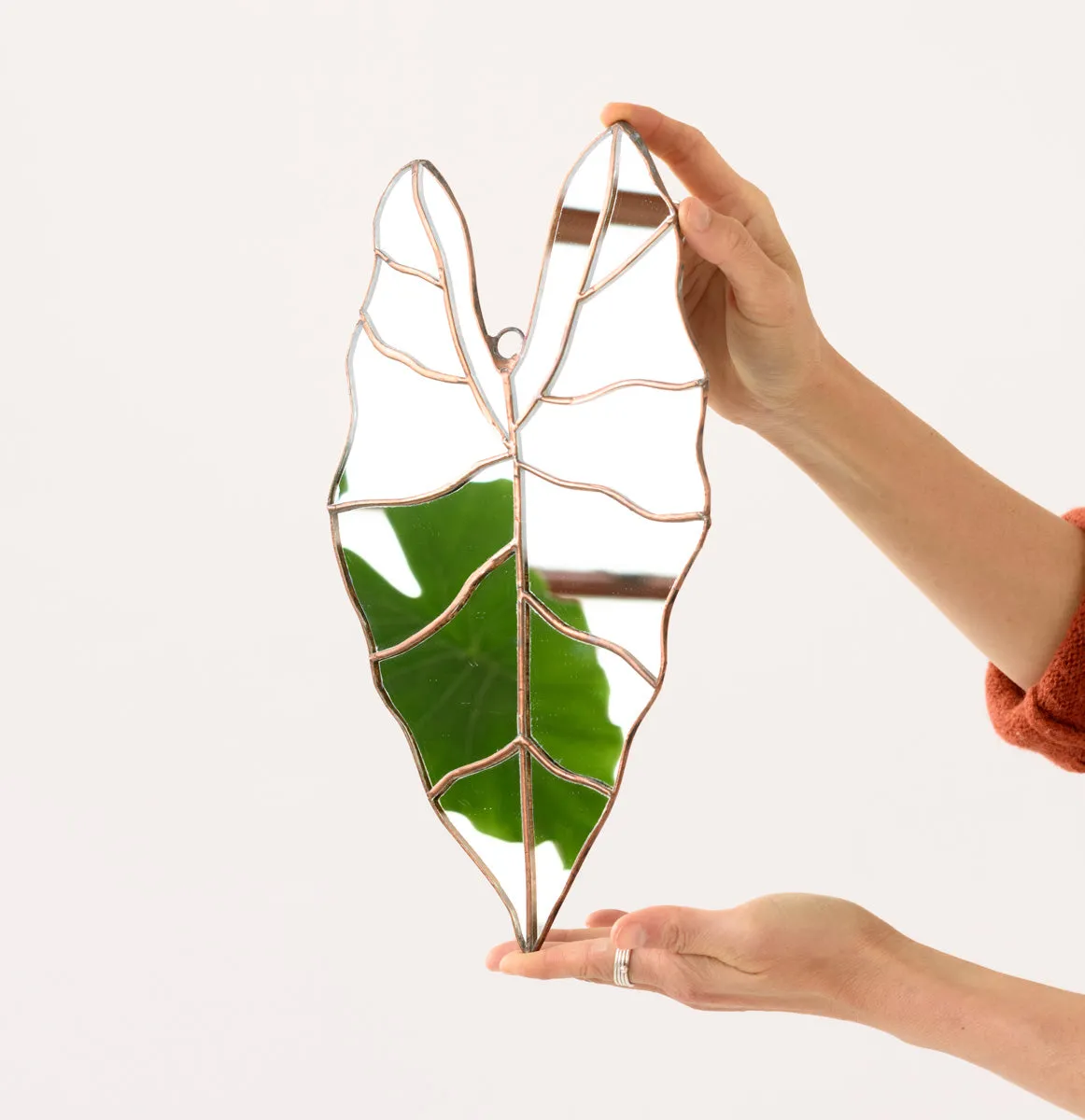 Leaf Mirror - Alocasia