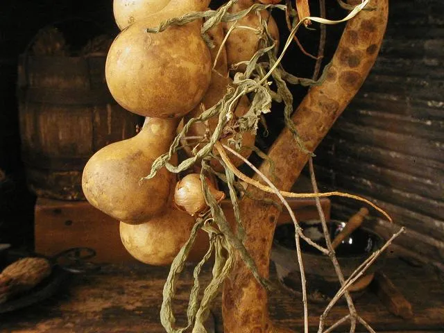 Primitive Gourd Door Hanging String Bean Garland Tree Branch Birds Nest Unique