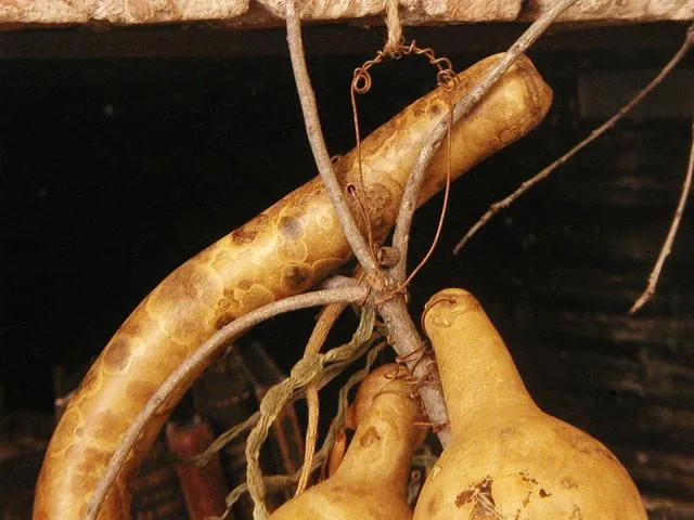 Primitive Gourd Door Hanging String Bean Garland Tree Branch Birds Nest Unique