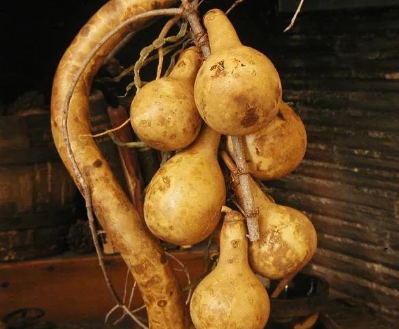 Primitive Gourd Door Hanging String Bean Garland Tree Branch Birds Nest Unique