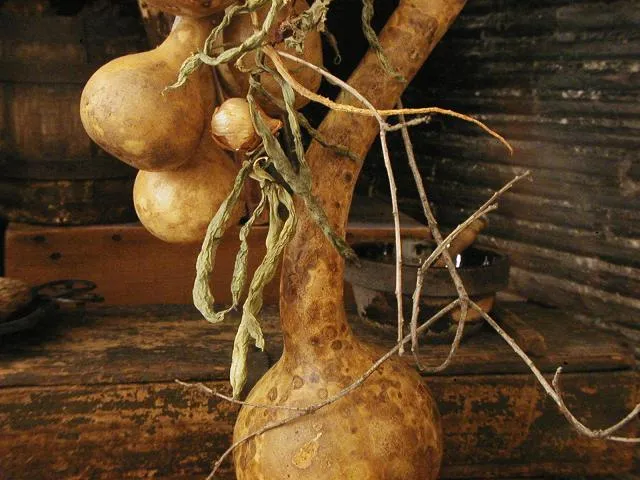 Primitive Gourd Door Hanging String Bean Garland Tree Branch Birds Nest Unique