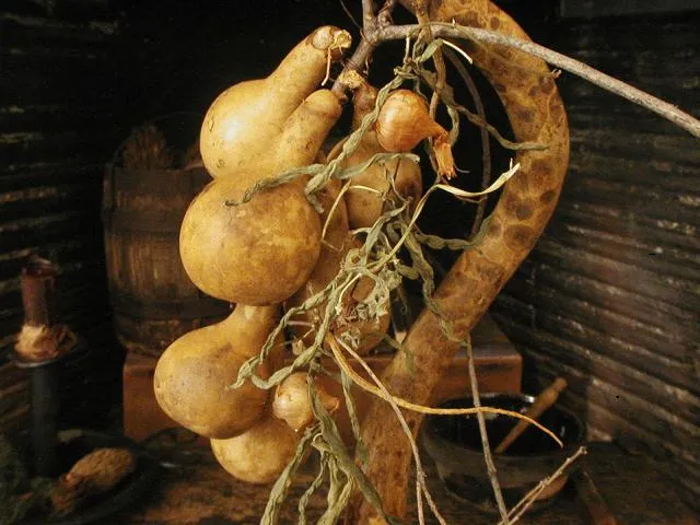 Primitive Gourd Door Hanging String Bean Garland Tree Branch Birds Nest Unique