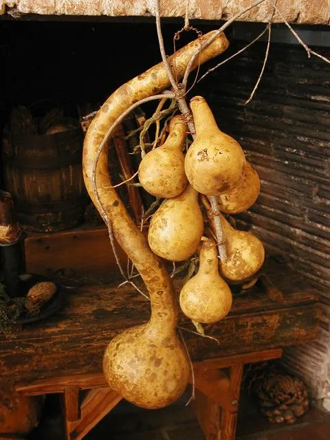 Primitive Gourd Door Hanging String Bean Garland Tree Branch Birds Nest Unique