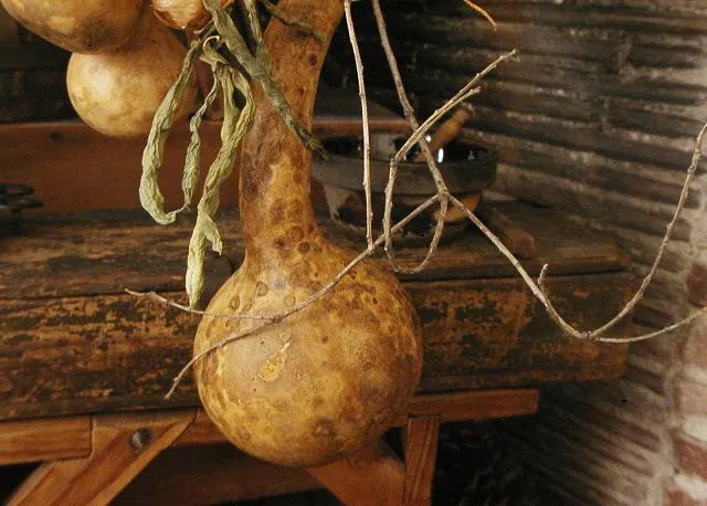 Primitive Gourd Door Hanging String Bean Garland Tree Branch Birds Nest Unique