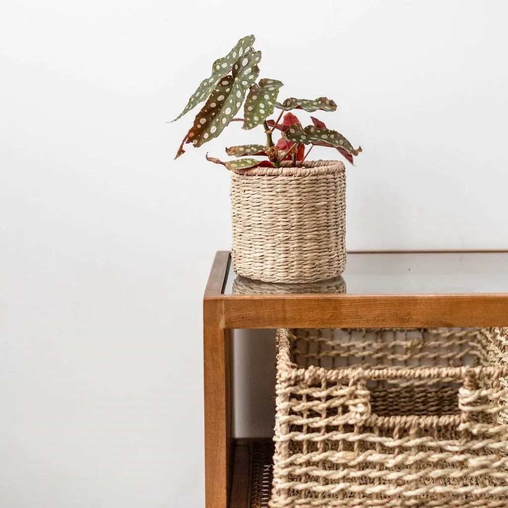 Seagrass Table Basket