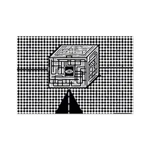 The Cube Rolled Eco Canvas